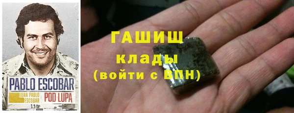 ECSTASY Алзамай