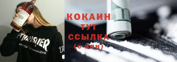 ECSTASY Алзамай