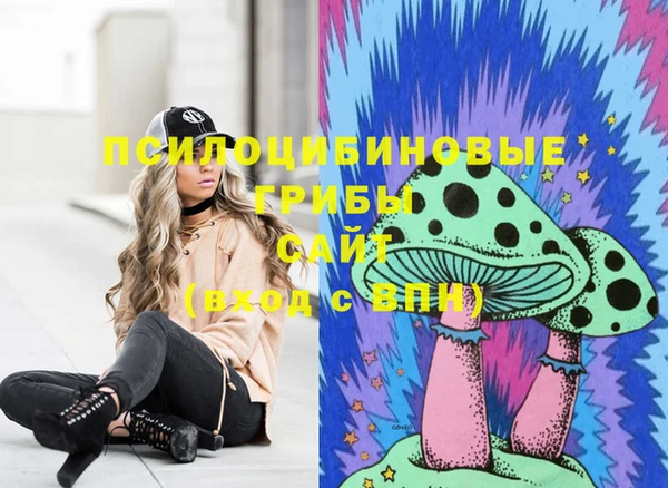 ECSTASY Алзамай
