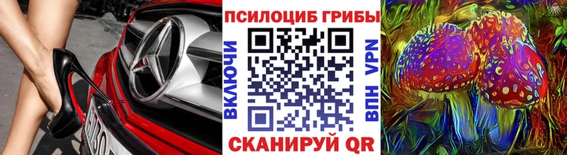 Галлюциногенные грибы Cubensis  кракен сайт  Игарка 